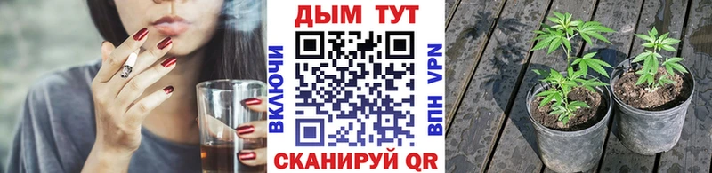 Цена Павловск Гашиш гидра вход АМФ Codein Меф Каннабис