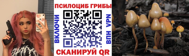 Псилоцибиновые грибы Psilocybine cubensis  Павловск 